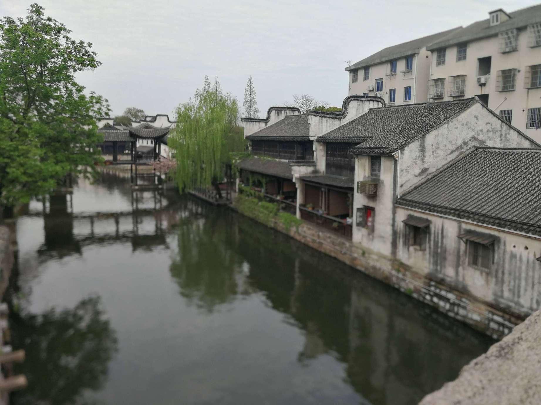 可爱兔子营救